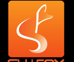 SlyFox Web Design &amp; Marketing - Kelowna / 1